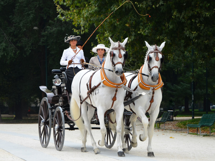 Milano settembre 2015