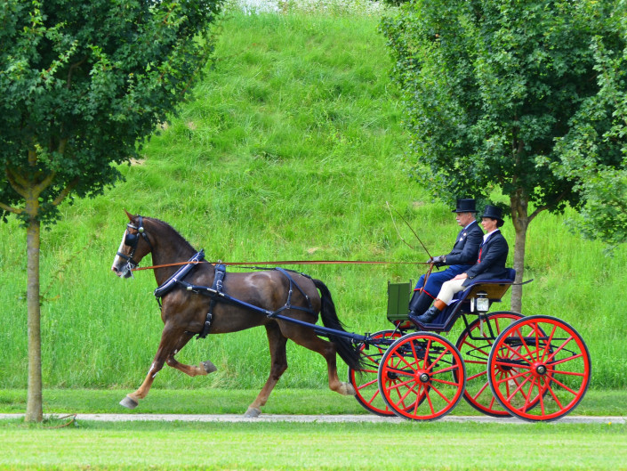 Venaria giugno 2015