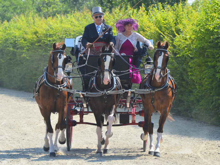 Venaria giugno 2015