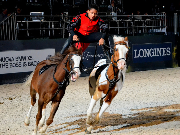 Verona Gala 2013