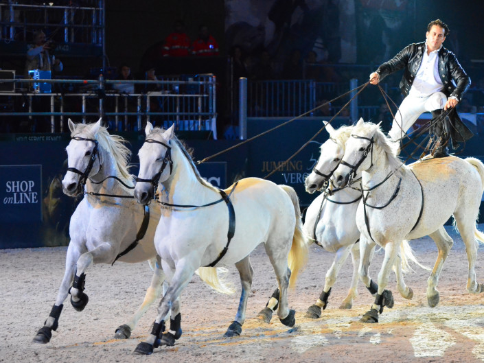 Gala Verona 2013