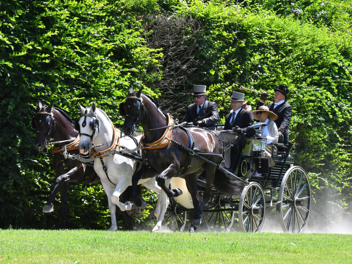 Venaria 2019