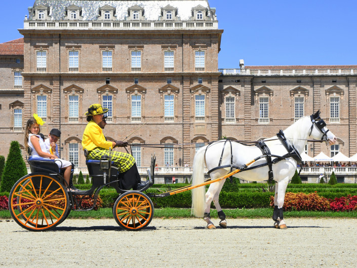 Venaria 2019